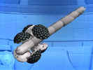 agro1-1.JPG (15241 Byte)