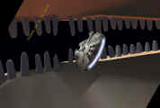 slug_xwa2.jpg (24081 Byte)